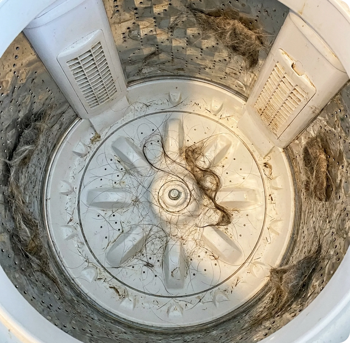 Washer drum full of dissolved pet hair