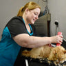 Tatyana Moss, Pet Groomer